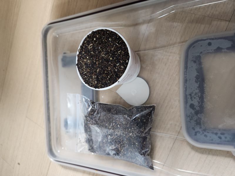 약도라지6018님의 장터 판매 상품 [약도라지 씨앗 종이컵1개기준 판매] 첨부 사진