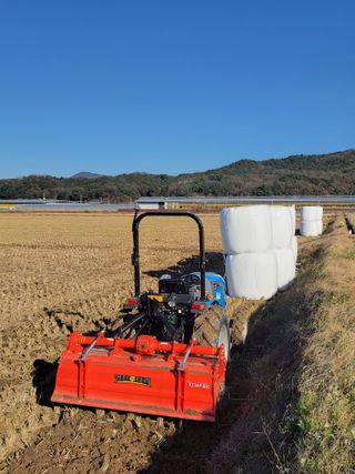 조규산님의 오늘 어떤 농작업하셨나요? · 참여글 작성글 사진