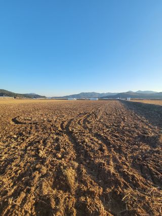 조규산님의 오늘 어떤 농작업하셨나요? · 참여글 작성글 사진