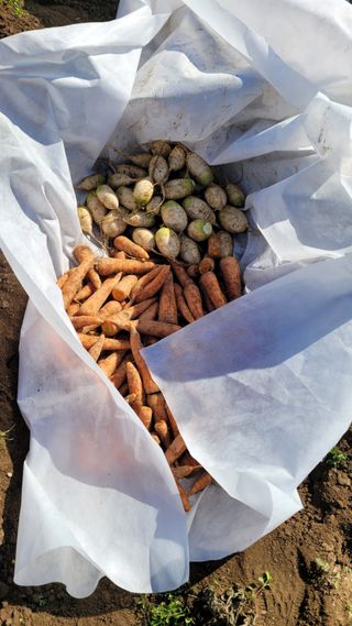 정인재님의 오늘 어떤 농작업하셨나요? · 참여글 작성글 사진