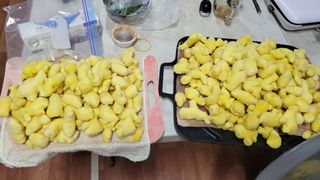 정인재님의 오늘 어떤 농작업하셨나요? · 참여글 작성글 사진