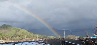 신현국님의 자유주제 · 자유게시판 작성글 사진