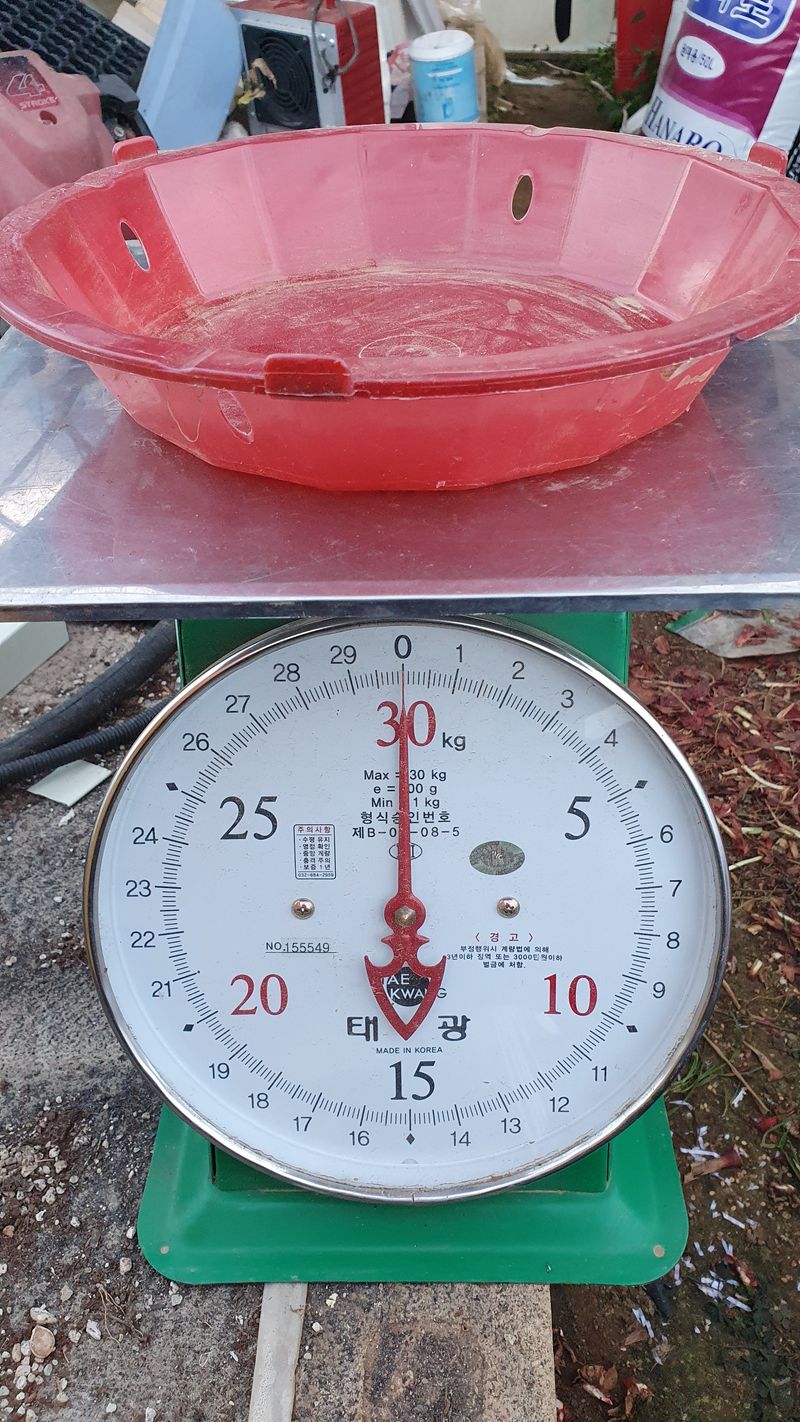 송죽암님의 장터 판매 상품 [마운틴양파 1kg(판매완료)] 첨부 사진