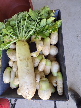 홍정윤님의 기타작물 · 자유게시판 작성글 사진