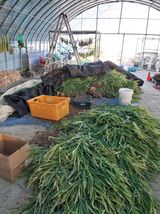 팜모닝 자유주제·자유게시판 게시글 이미지