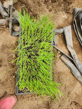 갑돌이님의 자유주제 · 자유게시판 작성글 사진