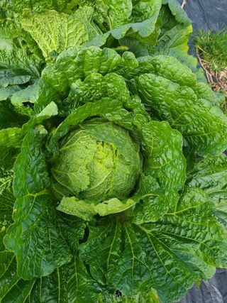 조병재님의 작성글 사진