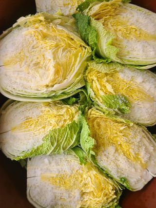 조병재님의 작성글 사진