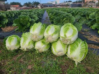 조병재님의 작성글 사진