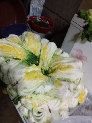 손경식님의 작성글 사진