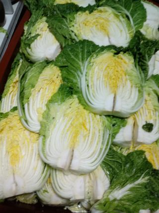 손경식님의 작성글 사진