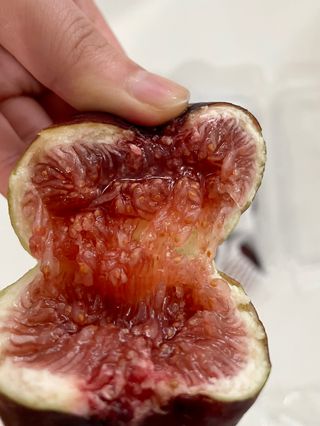 금숙님의 최근 산 물건을 알려주세요! · 참여글 작성글 사진