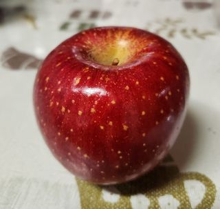 이정연님의 최근 산 물건을 알려주세요! · 참여글 작성글 사진