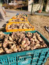 팜모닝 기타작물·자유게시판 게시글 이미지