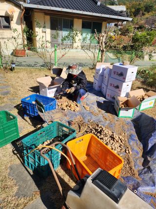 최군환님의 기타작물 · 자유게시판 작성글 사진