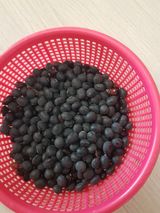 팜모닝 최근 산 물건을 알려주세요!·참여글 게시글 이미지