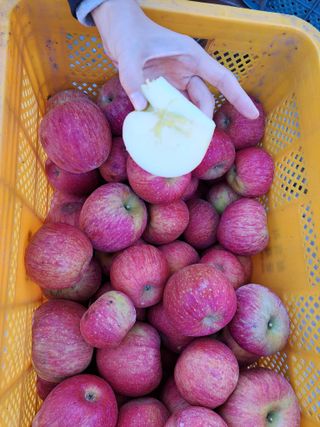 박수정님의 작성글 사진