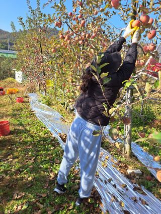 박수정님의 작성글 사진