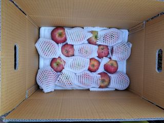 박수정님의 작성글 사진