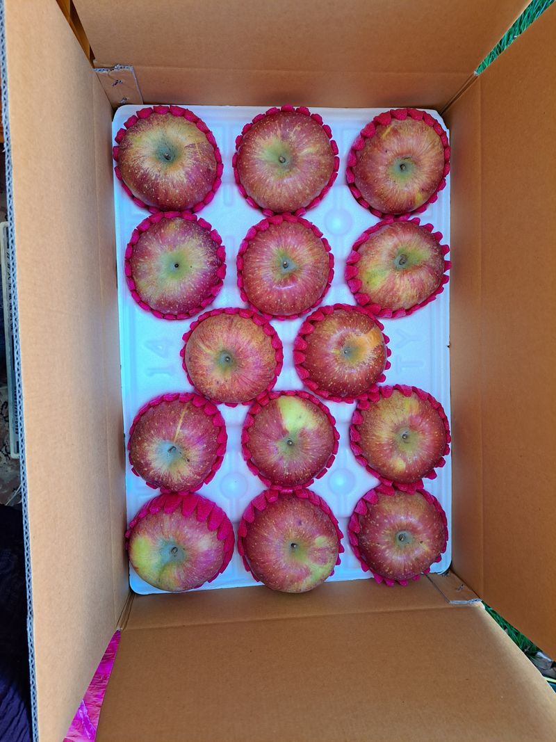 박수정님의 장터 판매 상품 [정품못난이혼합4.5키로] 첨부 사진