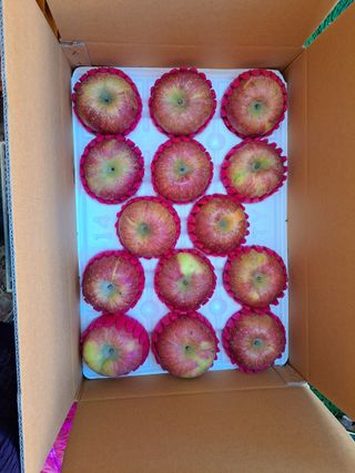 박수정님의 작성글 사진