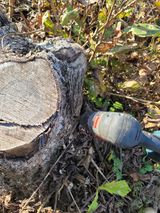 팜모닝 기타작물·영농일지 게시글 이미지