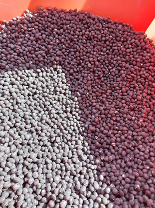 성주 농업인님의 자유주제 · 칭찬해요 작성글 사진