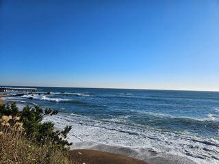 노가네수산님의 우리동네 · 동네정보 작성글 사진