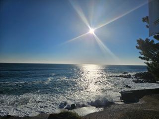 노가네수산님의 우리동네 · 동네정보 작성글 사진