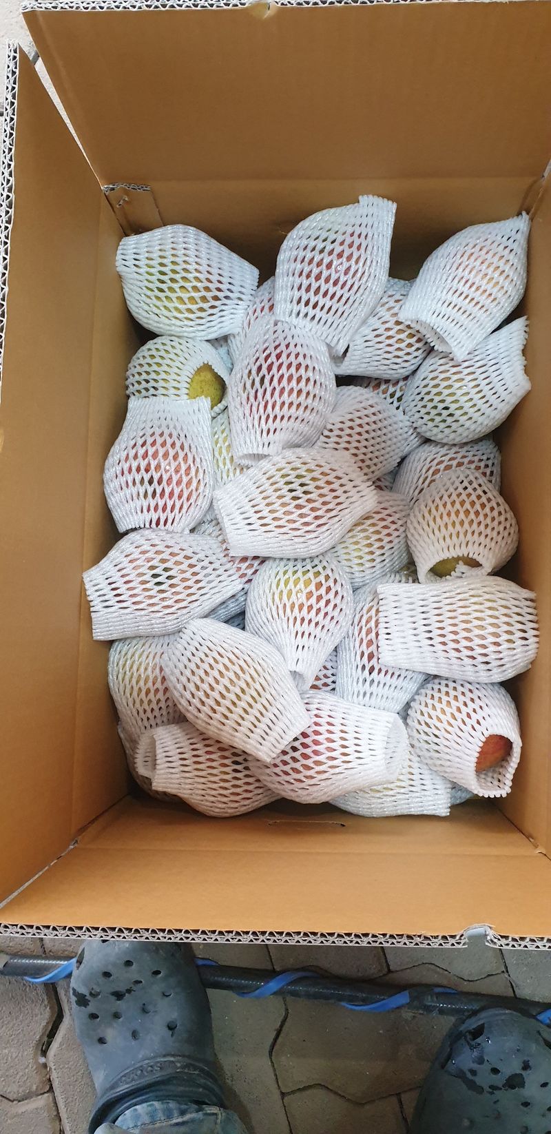 백두농원님의 장터 판매 상품 [봉화사과 미얀마부사 10키로] 첨부 사진