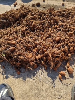 김석중님의 최근 산 물건을 알려주세요! · 참여글 작성글 사진