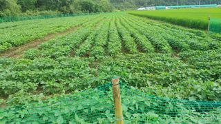 우창근님의 팜모닝 · 출석 작성글 사진