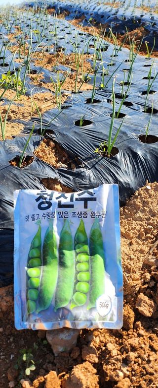 율촌 김은숙님의 자유주제 · 자유게시판 작성글 사진