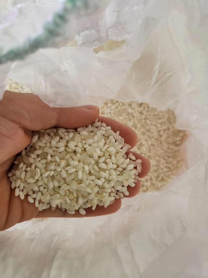 장터 상품 [찹쌀 20kg] 썸네일