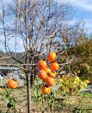 김석(휴대폰.인터넷매장)님의 최근 산 물건을 알려주세요! · 참여글 작성글 사진