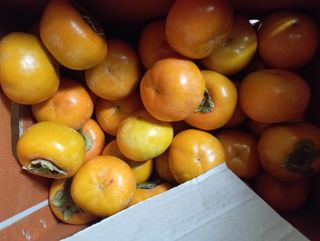 윤성애님의 최근 산 물건을 알려주세요! · 참여글 작성글 사진