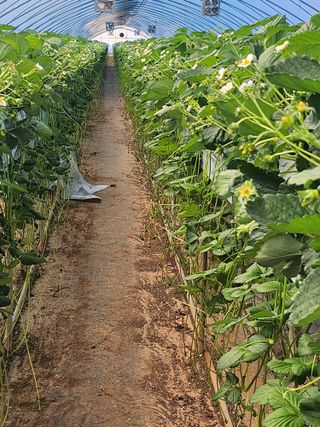송정애님의 최근 산 물건을 알려주세요! · 참여글 작성글 사진