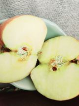 팜모닝 최근 산 물건을 알려주세요!·참여글 게시글 이미지