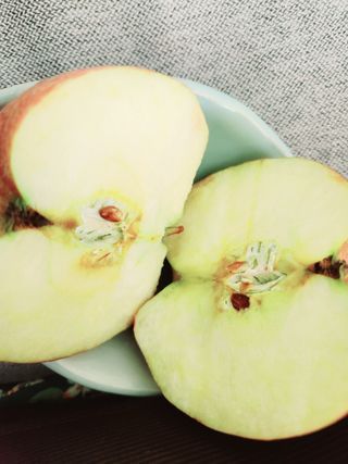 고영희님의 최근 산 물건을 알려주세요! · 참여글 작성글 사진