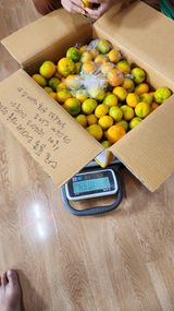 팜모닝 최근 산 물건을 알려주세요!·참여글 게시글 이미지