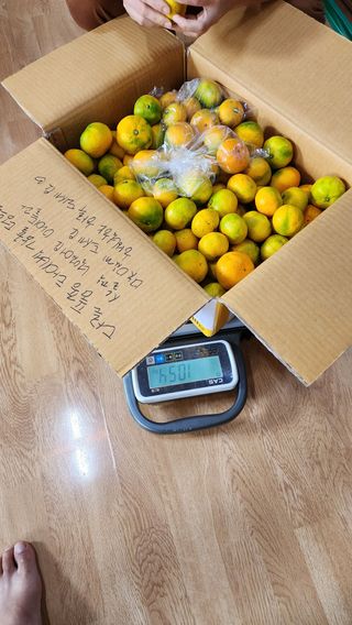 고추 조의현님의 최근 산 물건을 알려주세요! · 참여글 작성글 사진