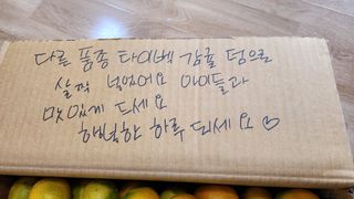 고추 조의현님의 최근 산 물건을 알려주세요! · 참여글 작성글 사진