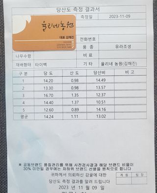 감귤해진님의 작성글 사진