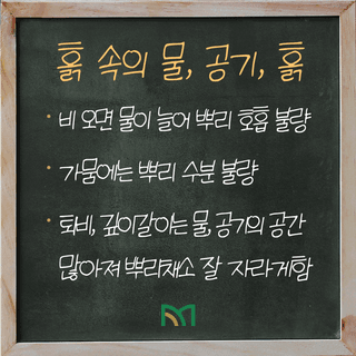 팜모닝 농사공부님의 매일매일 농사공부 · 매일매일 농사공부 작성글 사진