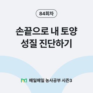 팜모닝 농사공부님의 매일매일 농사공부 · 매일매일 농사공부 작성글 사진