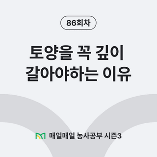 팜모닝 농사공부님의 매일매일 농사공부 · 매일매일 농사공부 작성글 사진
