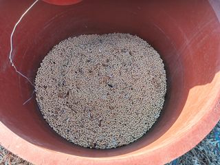 알 수 없음님의 우리동네 · 동네수다 작성글 사진