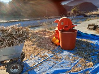 알 수 없음님의 우리동네 · 동네수다 작성글 사진