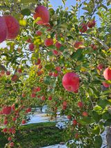 팜모닝 · 게시글 이미지