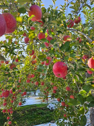 이훈희님의 작성글 사진